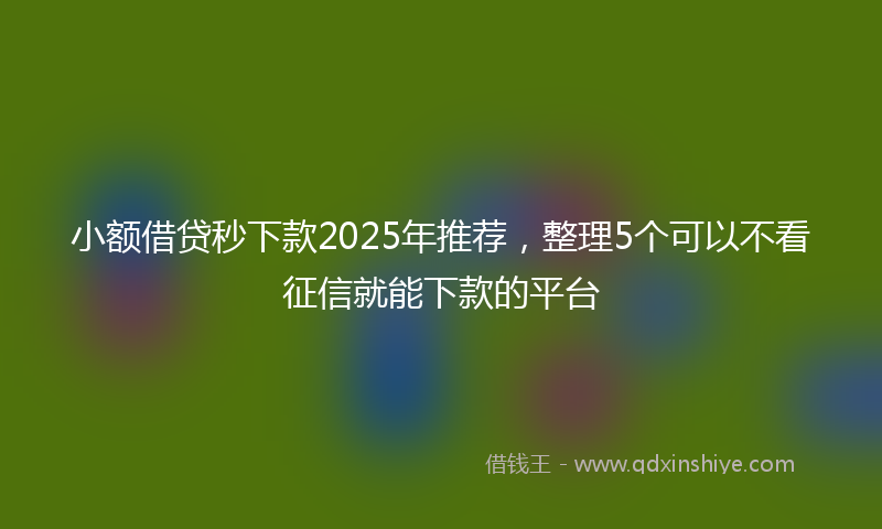 小额借贷秒下款2025年推荐，整理5个可以不看征信就能下款的平台