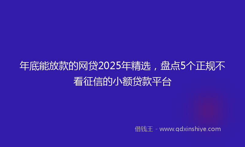 年底能放款的网贷2025年精选，盘点5个正规不看征信的小额贷款平台