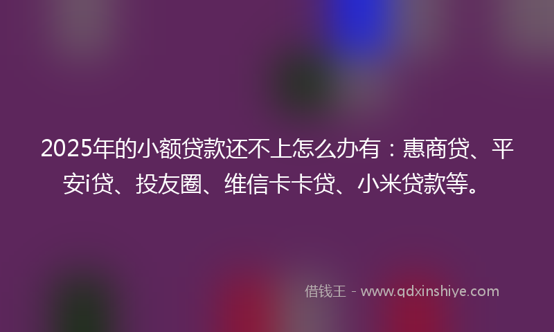 2025年的小额贷款还不上怎么办有：惠商贷、平安i贷、投友圈、维信卡卡贷、小米贷款等。