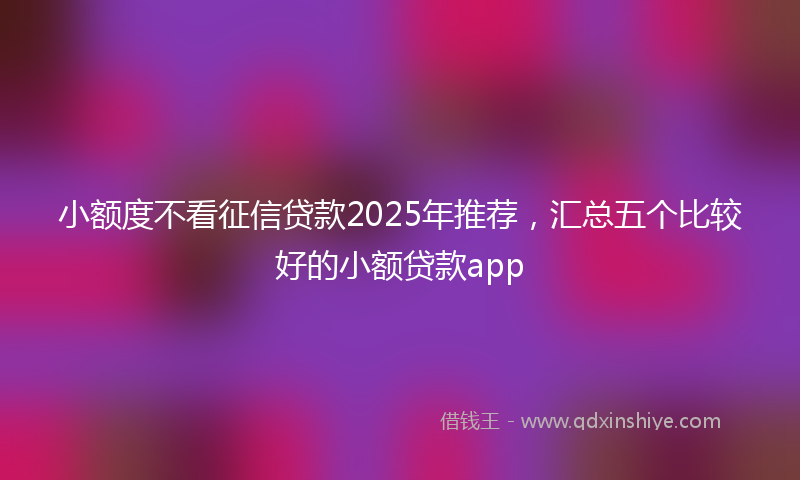 小额度不看征信贷款2025年推荐，汇总五个比较好的小额贷款app