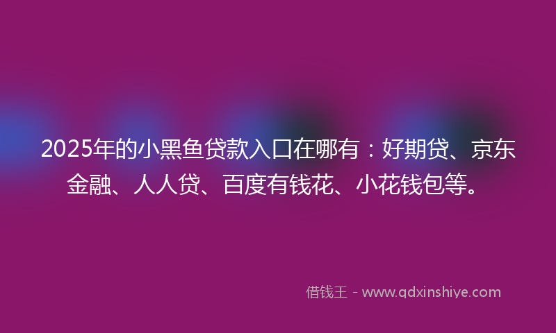 2025年的小黑鱼贷款入口在哪有：好期贷、京东金融、人人贷、百度有钱花、小花钱包等。