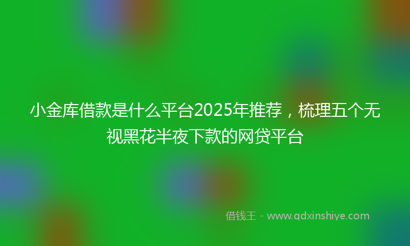 小金库借款是什么平台2025年推荐，梳理五个无视黑花半夜下款的网贷平台
