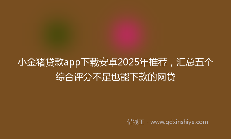 小金猪贷款app下载安卓2025年推荐，汇总五个综合评分不足也能下款的网贷