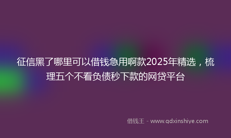 征信黑了哪里可以借钱急用啊款2025年精选，梳理五个不看负债秒下款的网贷平台