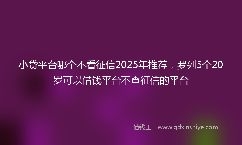 小贷平台哪个不看征信2025年推荐，罗列5个20岁可以借钱平台不查征信的平台