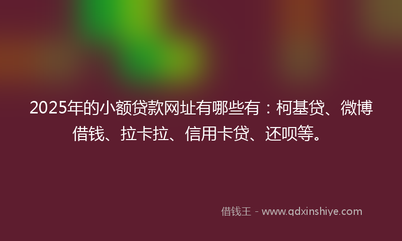2025年的小额贷款网址有哪些有：柯基贷、微博借钱、拉卡拉、信用卡贷、还呗等。