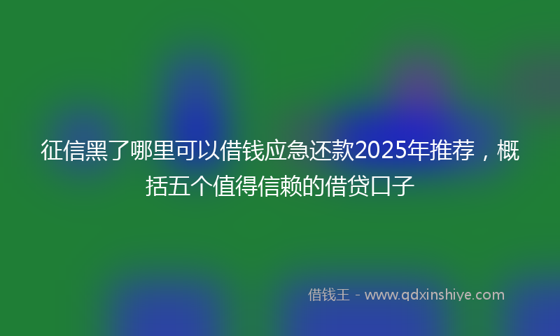 征信黑了哪里可以借钱应急还款2025年推荐，概括五个值得信赖的借贷口子