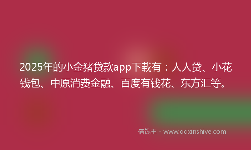 2025年的小金猪贷款app下载有：人人贷、小花钱包、中原消费金融、百度有钱花、东方汇等。