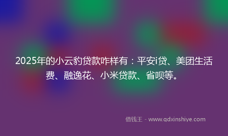 2025年的小云豹贷款咋样有：平安i贷、美团生活费、融逸花、小米贷款、省呗等。