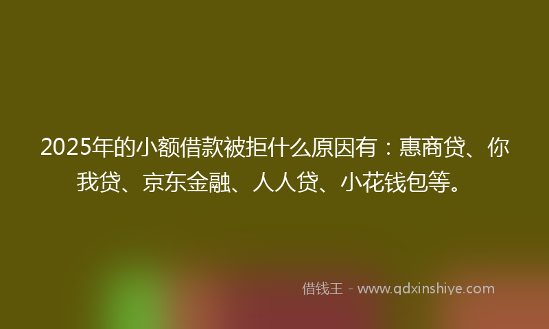 2025年的小额借款被拒什么原因有：惠商贷、你我贷、京东金融、人人贷、小花钱包等。