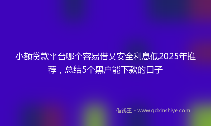 小额贷款平台哪个容易借又安全利息低2025年推荐，总结5个黑户能下款的口子