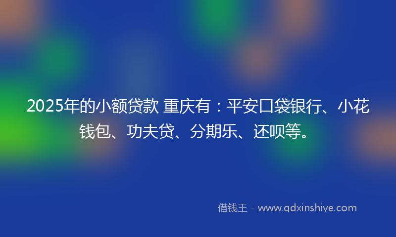 2025年的小额贷款 重庆有：平安口袋银行、小花钱包、功夫贷、分期乐、还呗等。
