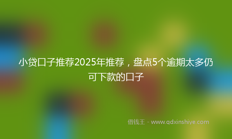 小贷口子推荐2025年推荐，盘点5个逾期太多仍可下款的口子