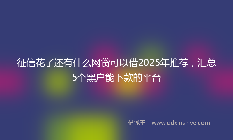 征信花了还有什么网贷可以借2025年推荐，汇总5个黑户能下款的平台