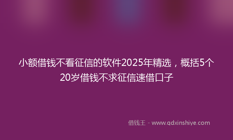 小额借钱不看征信的软件2025年精选，概括5个20岁借钱不求征信速借口子