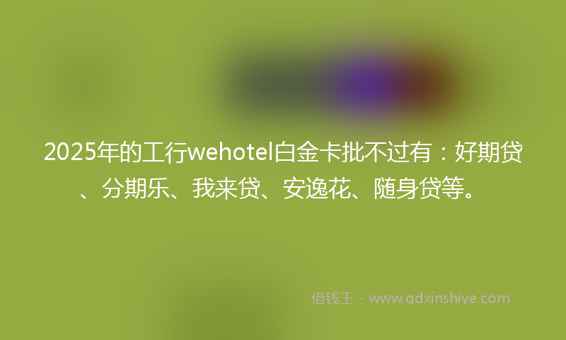2025年的工行wehotel白金卡批不过有：好期贷、分期乐、我来贷、安逸花、随身贷等。