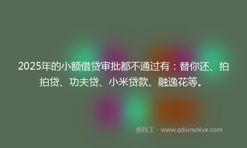 2025年的小额借贷审批都不通过有：替你还、拍拍贷、功夫贷、小米贷款、融逸花等。