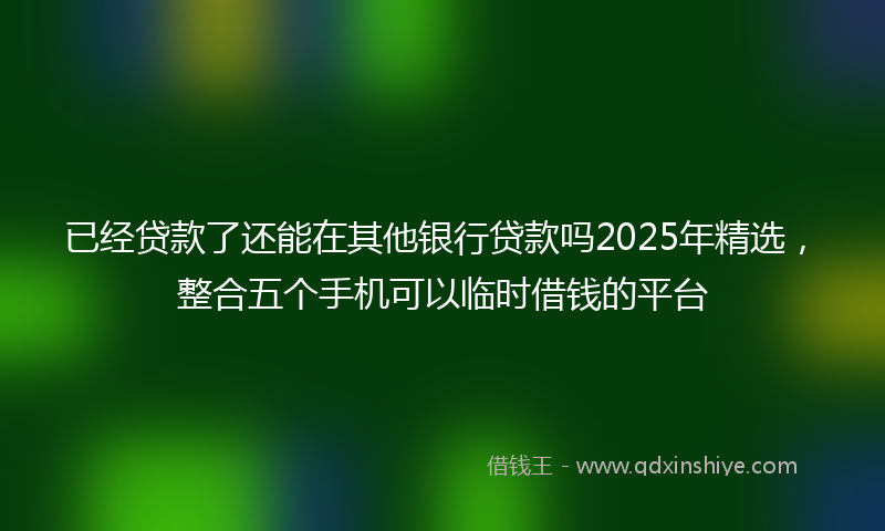 已经贷款了还能在其他银行贷款吗2025年精选，整合五个手机可以临时借钱的平台