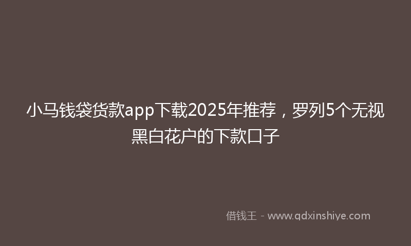 小马钱袋货款app下载2025年推荐，罗列5个无视黑白花户的下款口子