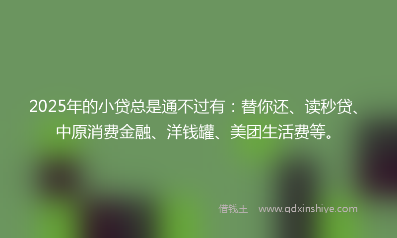 2025年的小贷总是通不过有：替你还、读秒贷、中原消费金融、洋钱罐、美团生活费等。