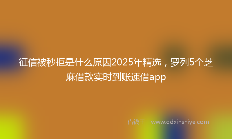 征信被秒拒是什么原因2025年精选，罗列5个芝麻借款实时到账速借app