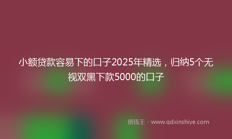 小额贷款容易下的口子2025年精选，归纳5个无视双黑下款5000的口子