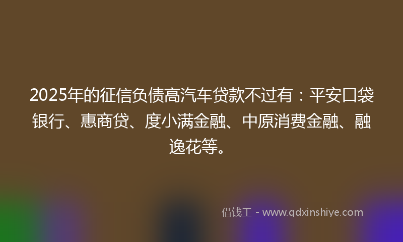 2025年的征信负债高汽车贷款不过有：平安口袋银行、惠商贷、度小满金融、中原消费金融、融逸花等。