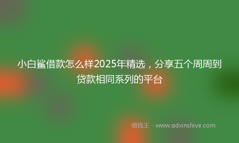小白鲨借款怎么样2025年精选，分享五个周周到贷款相同系列的平台