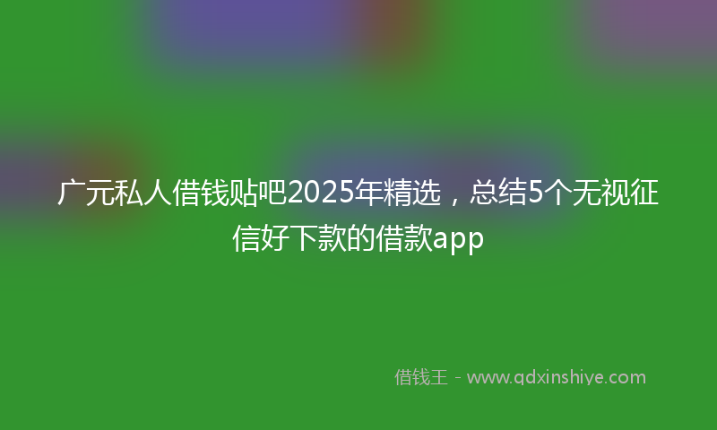 广元私人借钱贴吧2025年精选，总结5个无视征信好下款的借款app