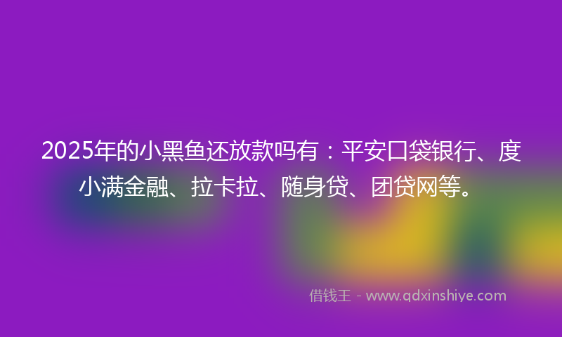 2025年的小黑鱼还放款吗有：平安口袋银行、度小满金融、拉卡拉、随身贷、团贷网等。