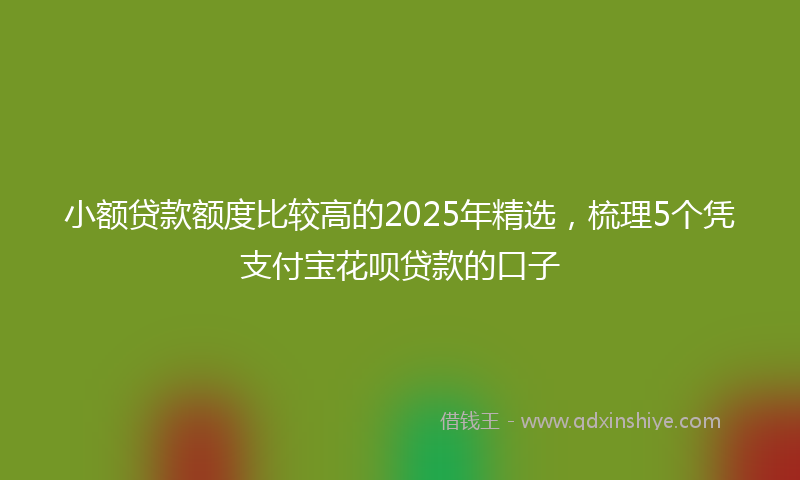 小额贷款额度比较高的2025年精选，梳理5个凭支付宝花呗贷款的口子