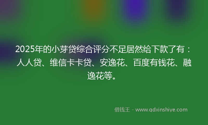 2025年的小芽贷综合评分不足居然给下款了有：人人贷、维信卡卡贷、安逸花、百度有钱花、融逸花等。