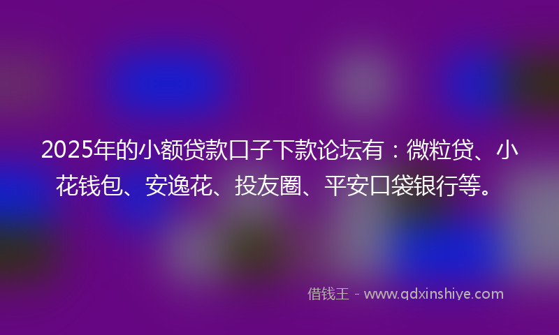 2025年的小额贷款口子下款论坛有：微粒贷、小花钱包、安逸花、投友圈、平安口袋银行等。