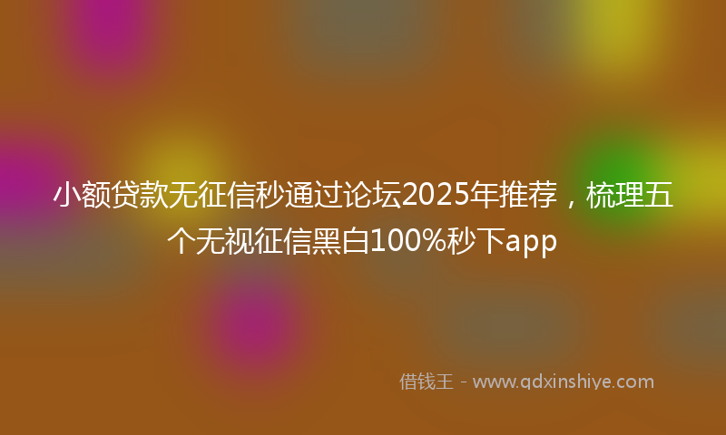 小额贷款无征信秒通过论坛2025年推荐，梳理五个无视征信黑白100%秒下app