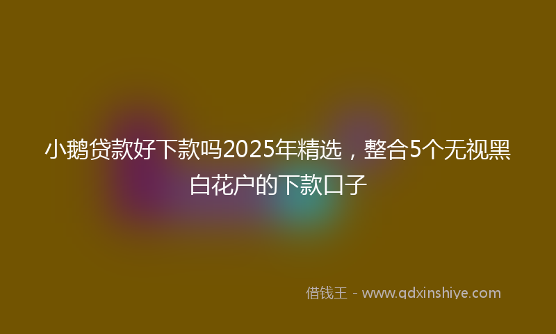 小鹅贷款好下款吗2025年精选，整合5个无视黑白花户的下款口子