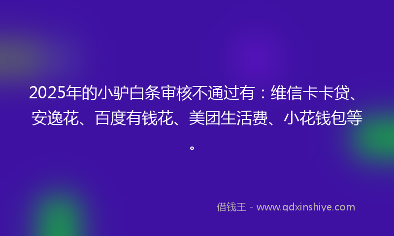 2025年的小驴白条审核不通过有：维信卡卡贷、安逸花、百度有钱花、美团生活费、小花钱包等。