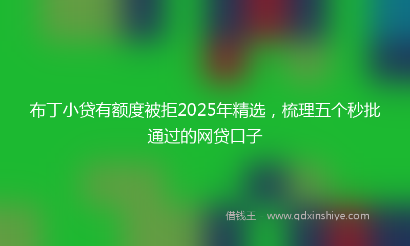 布丁小贷有额度被拒2025年精选，梳理五个秒批通过的网贷口子