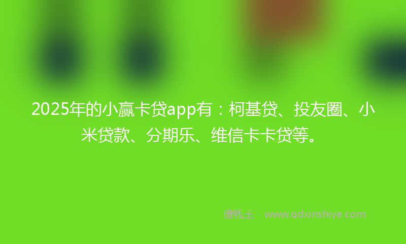 2025年的小赢卡贷app有：柯基贷、投友圈、小米贷款、分期乐、维信卡卡贷等。