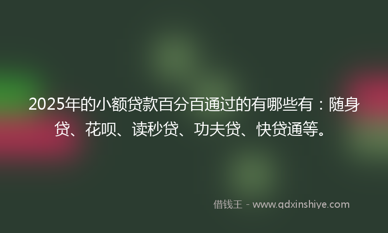 2025年的小额贷款百分百通过的有哪些有：随身贷、花呗、读秒贷、功夫贷、快贷通等。