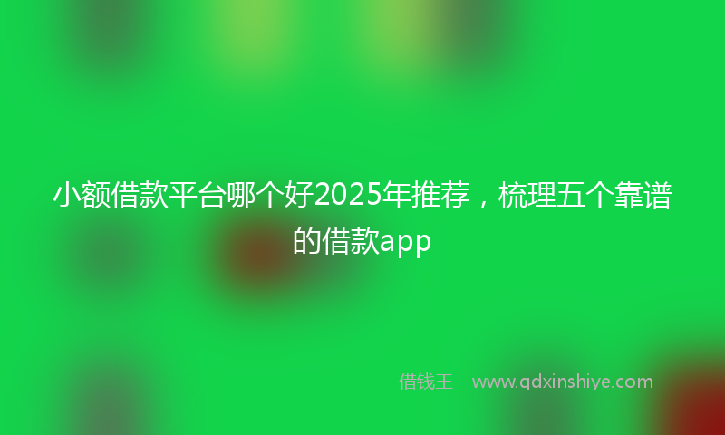 小额借款平台哪个好2025年推荐，梳理五个靠谱的借款app