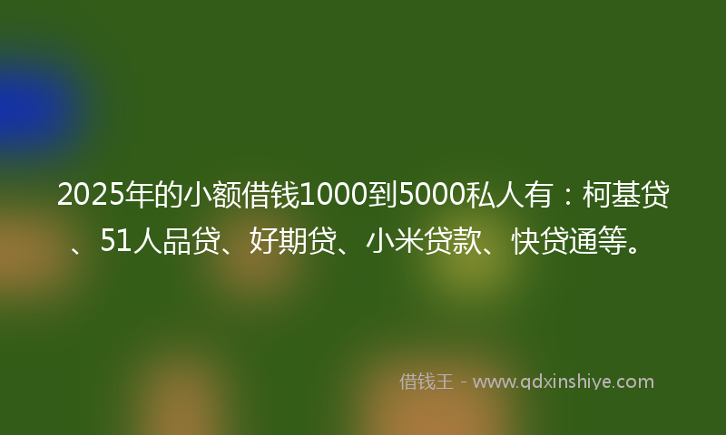 2025年的小额借钱1000到5000私人有：柯基贷、51人品贷、好期贷、小米贷款、快贷通等。