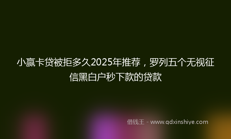 小赢卡贷被拒多久2025年推荐，罗列五个无视征信黑白户秒下款的贷款