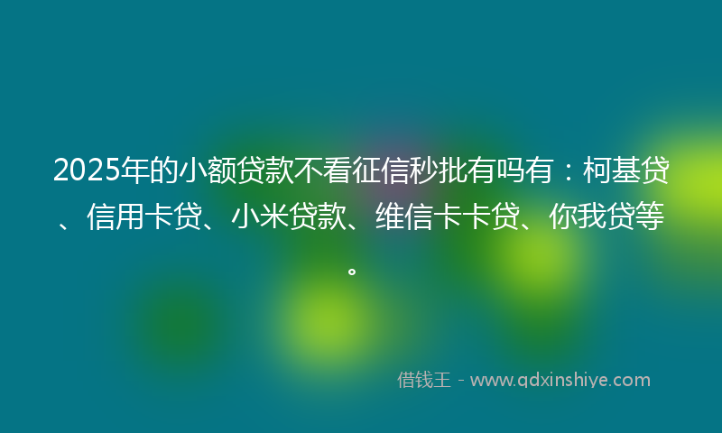 2025年的小额贷款不看征信秒批有吗有：柯基贷、信用卡贷、小米贷款、维信卡卡贷、你我贷等。