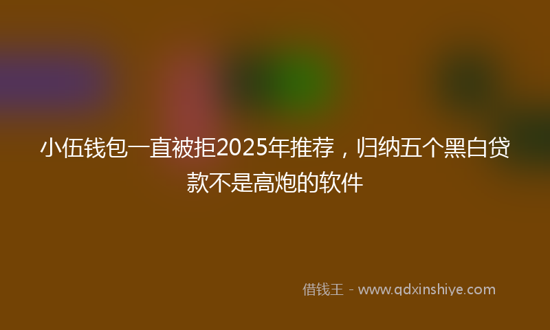 小伍钱包一直被拒2025年推荐，归纳五个黑白贷款不是高炮的软件