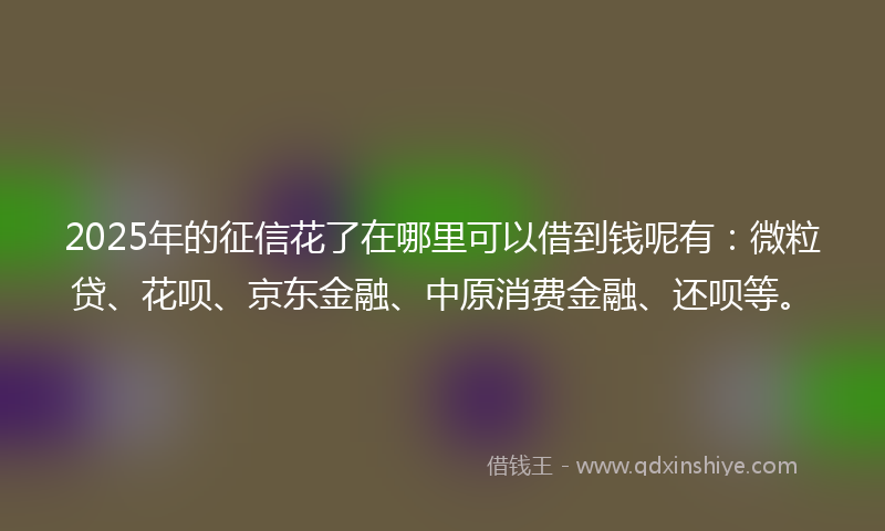 2025年的征信花了在哪里可以借到钱呢有：微粒贷、花呗、京东金融、中原消费金融、还呗等。