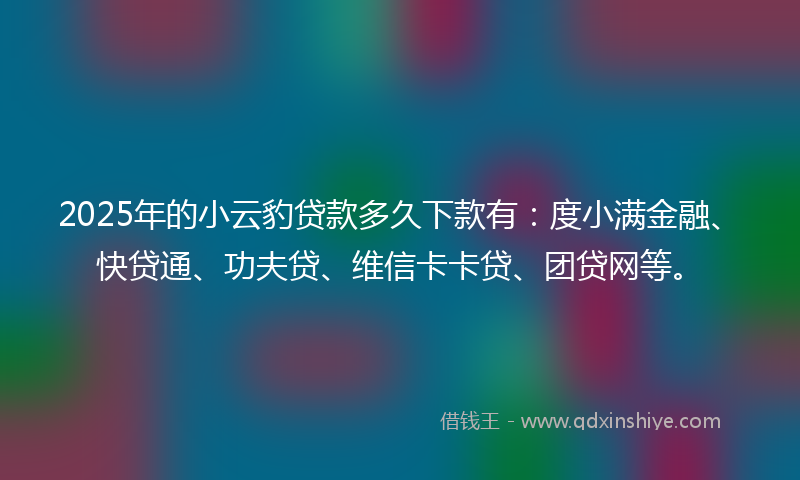 2025年的小云豹贷款多久下款有：度小满金融、快贷通、功夫贷、维信卡卡贷、团贷网等。