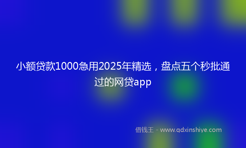 小额贷款1000急用2025年精选，盘点五个秒批通过的网贷app
