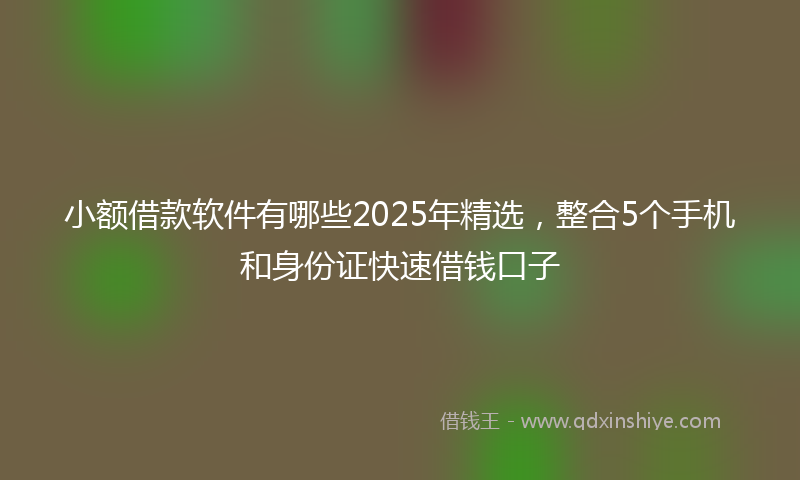 小额借款软件有哪些2025年精选，整合5个手机和身份证快速借钱口子
