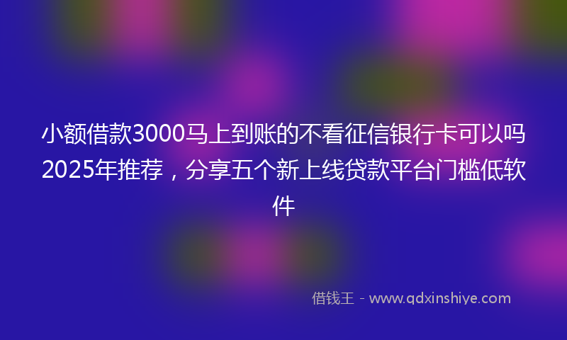 小额借款3000马上到账的不看征信银行卡可以吗2025年推荐，分享五个新上线贷款平台门槛低软件