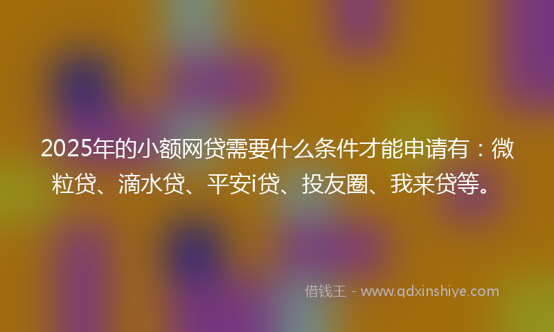 2025年的小额网贷需要什么条件才能申请有：微粒贷、滴水贷、平安i贷、投友圈、我来贷等。